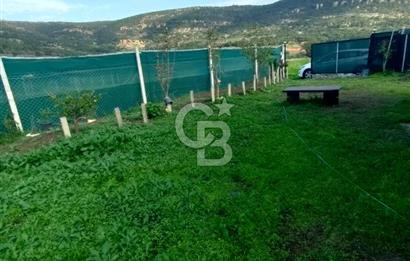 Foça Koca Mehmetler de Doğayla İç içe 469 m2 Satılık Tarla