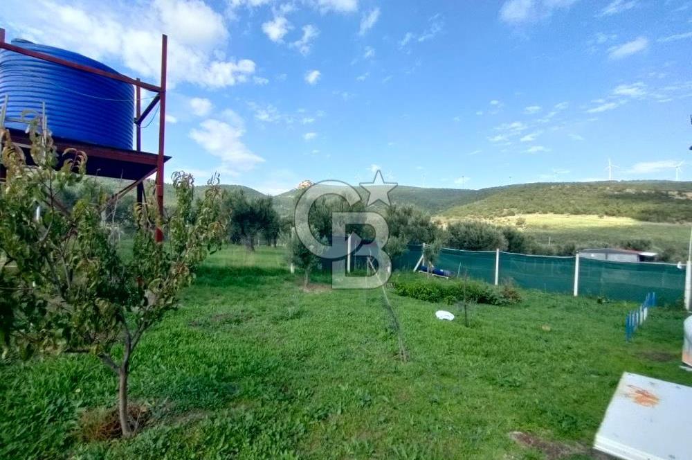 Foça Koca Mehmetler de Doğayla İç içe 469 m2 Satılık Tarla