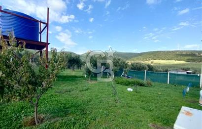 Foça Koca Mehmetler de Doğayla İç içe 469 m2 Satılık Tarla
