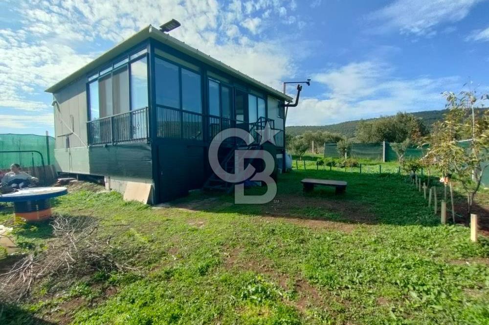 Foça Koca Mehmetler de Doğayla İç içe 469 m2 Satılık Tarla