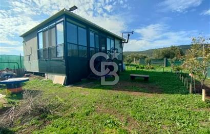 Foça Koca Mehmetler de Doğayla İç içe 469 m2 Satılık Tarla