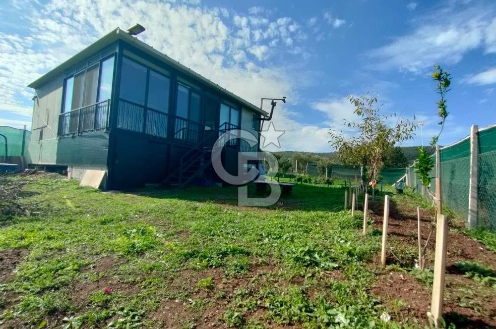 Foça Koca Mehmetler de Doğayla İç içe 469 m2 Satılık Tarla