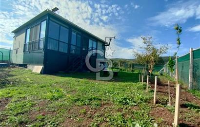 Foça Koca Mehmetler de Doğayla İç içe 469 m2 Satılık Tarla