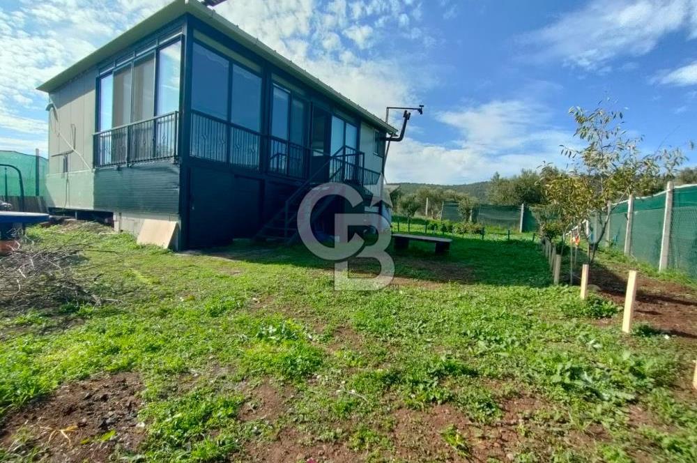 Foça Koca Mehmetler de Doğayla İç içe 469 m2 Satılık Tarla