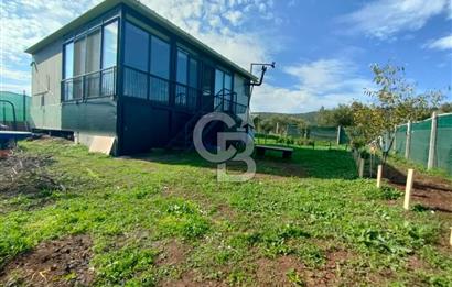 Foça Koca Mehmetler de Doğayla İç içe 469 m2 Satılık Tarla