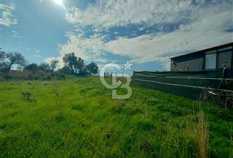 Foça Koca Mehmetler de Doğayla İç içe 469 m2 Satılık Tarla - 6 - 314114