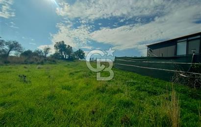 Foça Koca Mehmetler de Doğayla İç içe 469 m2 Satılık Tarla