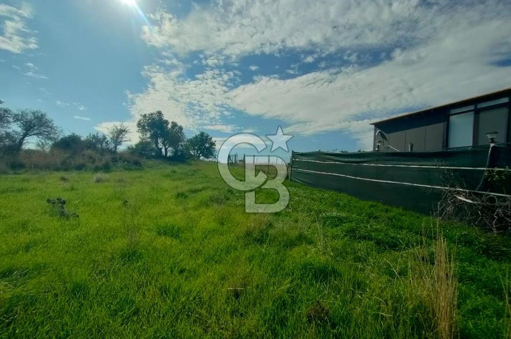 Foça Koca Mehmetler de Doğayla İç içe 469 m2 Satılık Tarla