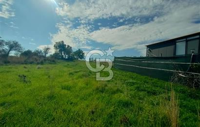 Foça Koca Mehmetler de Doğayla İç içe 469 m2 Satılık Tarla