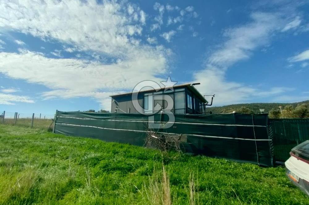 Foça Koca Mehmetler de Doğayla İç içe 469 m2 Satılık Tarla