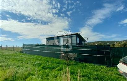 Foça Koca Mehmetler de Doğayla İç içe 469 m2 Satılık Tarla