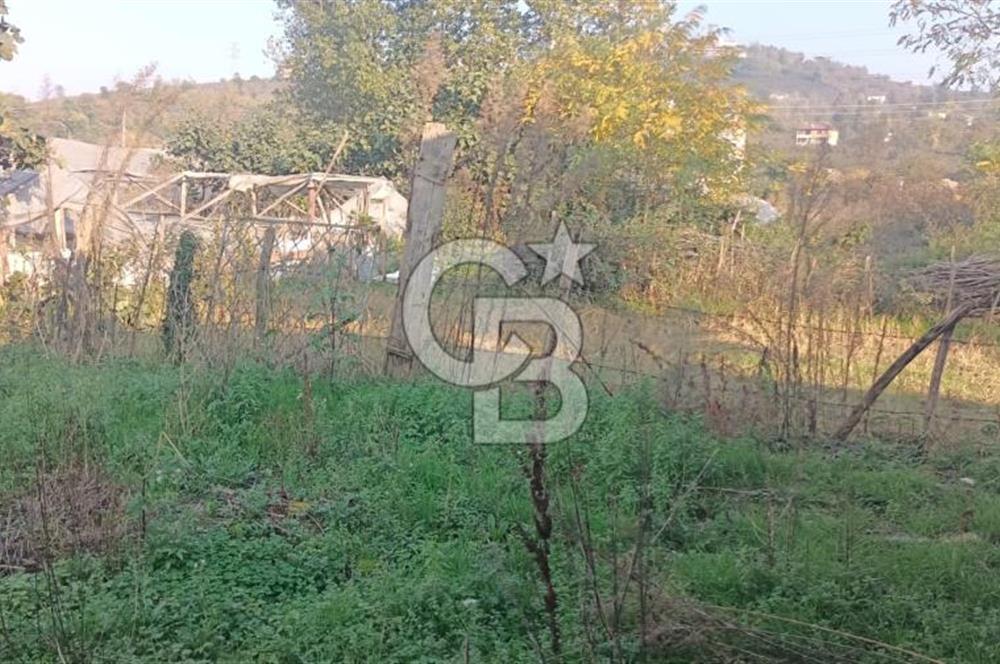 ESKİPAZAR MAHALLESİ’NDE SATILIK 238 m² ARSA