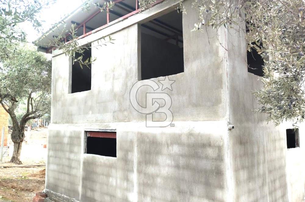 Torbalı Helvacı'da Zeytinli Tarla İçinde Natamam Ev