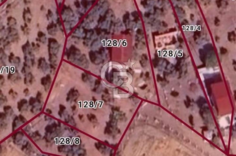 Torbalı Helvacı'da Zeytinli Tarla İçinde Natamam Ev