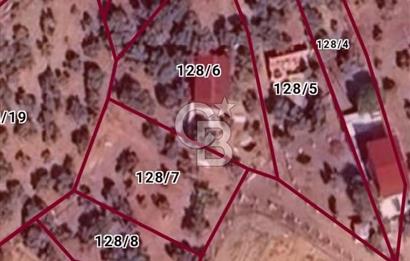 Torbalı Helvacı'da Zeytinli Tarla İçinde Natamam Ev