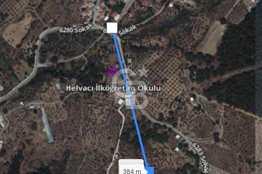 Torbalı Helvacı'da Zeytinli Tarla İçinde Natamam Ev