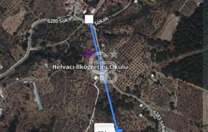 Torbalı Helvacı'da Zeytinli Tarla İçinde Natamam Ev