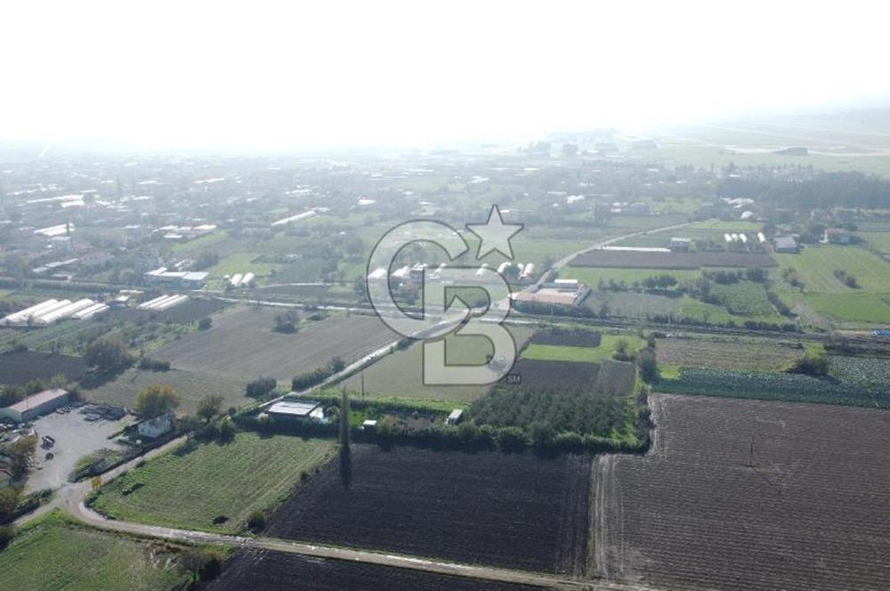 CB KİNG'DEN BALIKESİR/HALALCA MAH.SATILIK VİLLA İMARLI ARSA