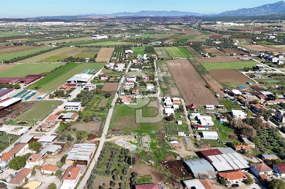 Menderes Oğlananası 629m2 Satılık Konut İmarlı Arsa