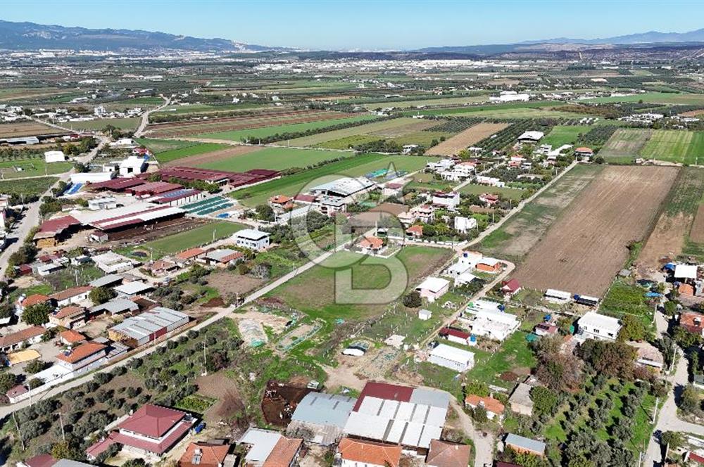 Menderes Oğlananası 629m2 Satılık Konut İmarlı Arsa