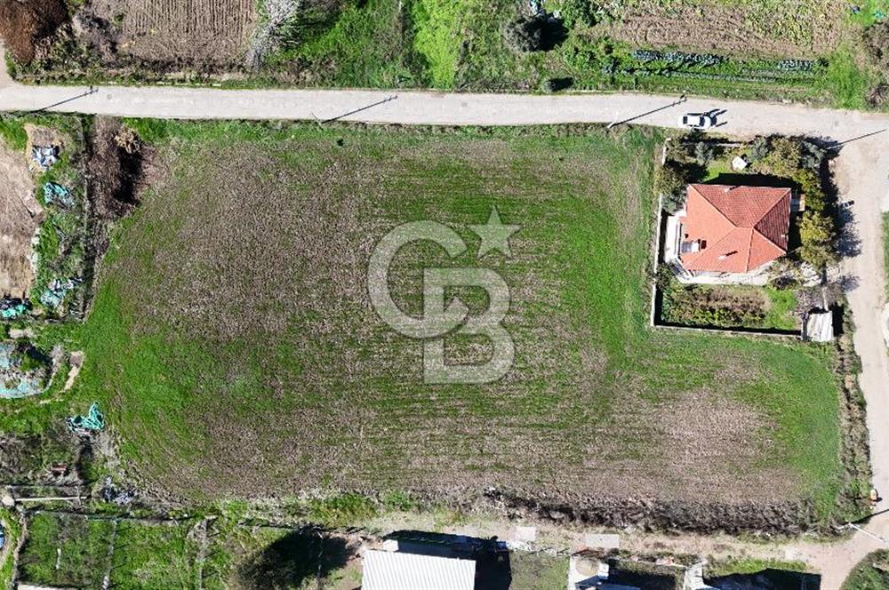 Menderes Oğlananası 629m2 Satılık Konut İmarlı Arsa