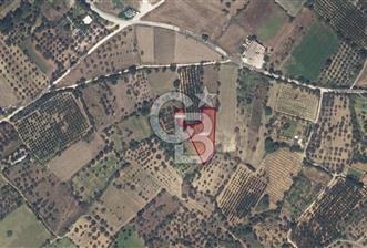 LAPSEKİ ÇARDAK KIZILBAYIR'DA 2474 M² YATIRIMLIK TARLA - 3 - 314196