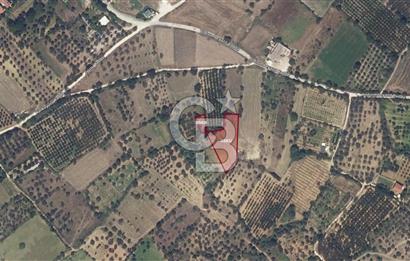 LAPSEKİ ÇARDAK KIZILBAYIR'DA 2474 M² YATIRIMLIK TARLA