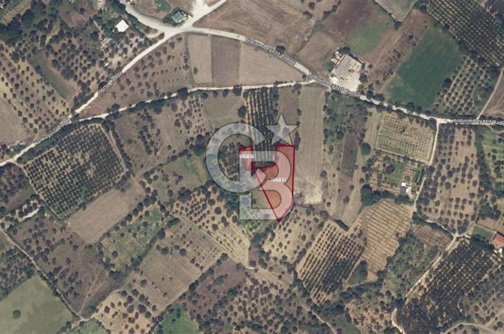 LAPSEKİ ÇARDAK KIZILBAYIR'DA 2474 M² YATIRIMLIK TARLA