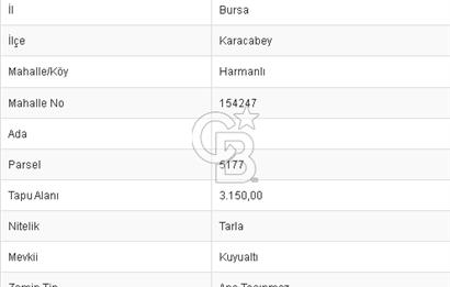 CB BLACK'TAN HARMANLI'DA UFAK PARÇA TARLA