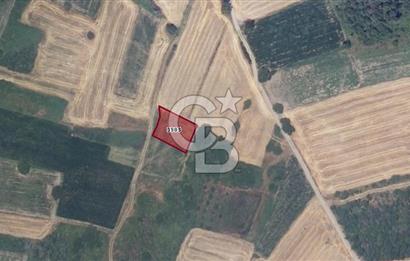 CB BLACK'TAN HARMANLI'DA UFAK PARÇA