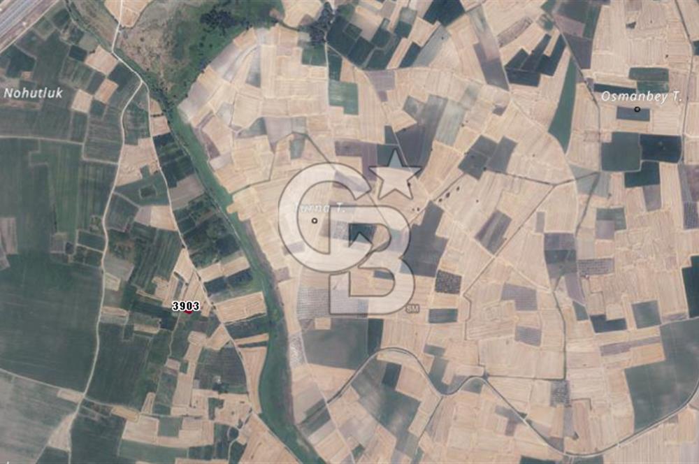 CB BLACK'TAN HARMANLI'DA UFAK PARÇA