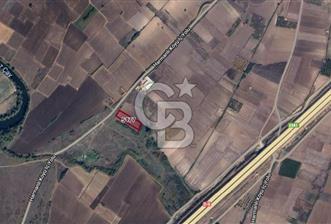 CB BLACK'TAN MUHTEŞEM KONUMDA TARLA - 5 - 314193