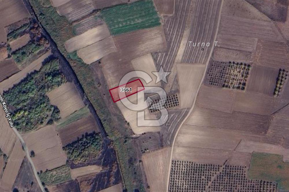 CB BLACK'TAN HARMANLI'DA UFAK PARÇA TARLA