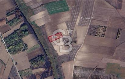 CB BLACK'TAN HARMANLI'DA UFAK PARÇA TARLA