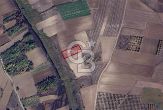 CB BLACK'TAN HARMANLI'DA UFAK PARÇA TARLA - 4 - 314197