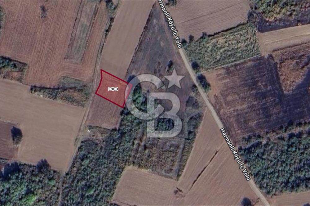 CB BLACK'TAN HARMANLI'DA UFAK PARÇA