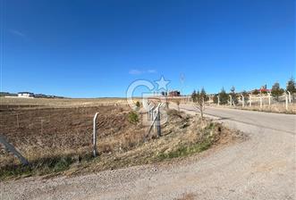 CB SITKI ŞİMŞEKTEN HACILARDA KÖŞEBAŞI SATILIK ARSA - 1 - 314180