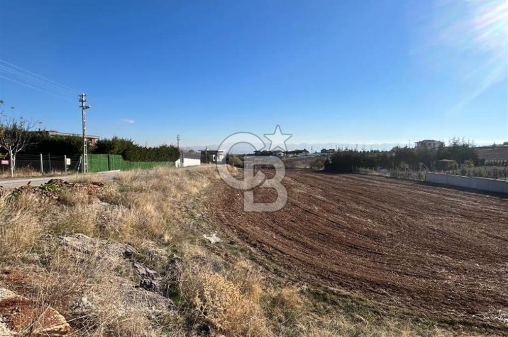 CB SITKI ŞİMŞEKTEN HACILARDA KÖŞEBAŞI SATILIK ARSA