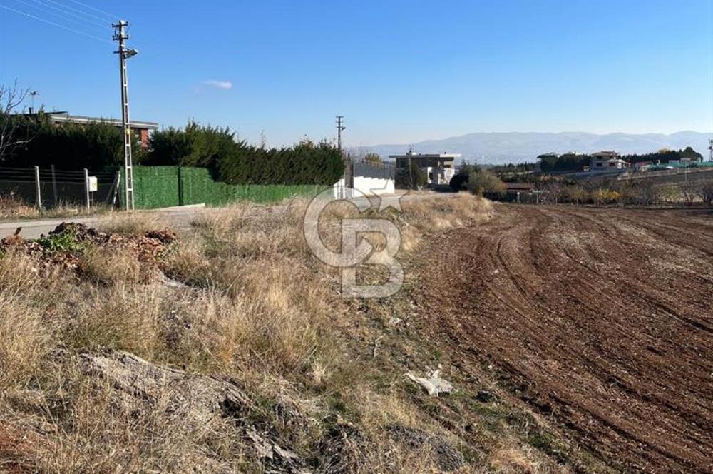 CB SITKI ŞİMŞEKTEN HACILARDA KÖŞEBAŞI SATILIK ARSA