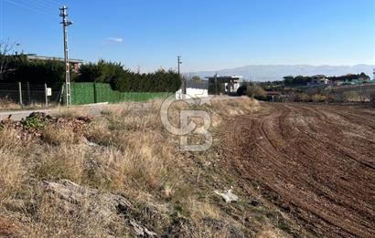 CB SITKI ŞİMŞEKTEN HACILARDA KÖŞEBAŞI SATILIK ARSA