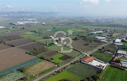 CB KİNG'DEN BALIKESİR/HALALCA MAH.SATILIK VİLLA İMARLI ARSA