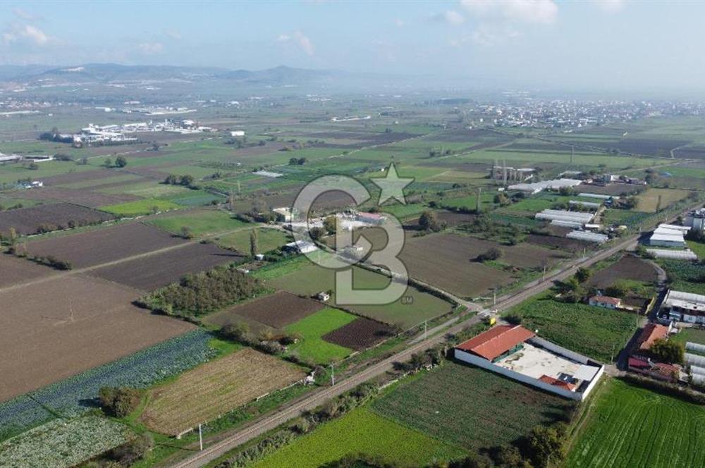 CB KİNG'DEN BALIKESİR/HALALCA MAH.SATILIK VİLLA İMARLI ARSA