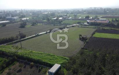 CB KİNG'DEN BALIKESİR/HALALCA MAH.SATILIK VİLLA İMARLI ARSA