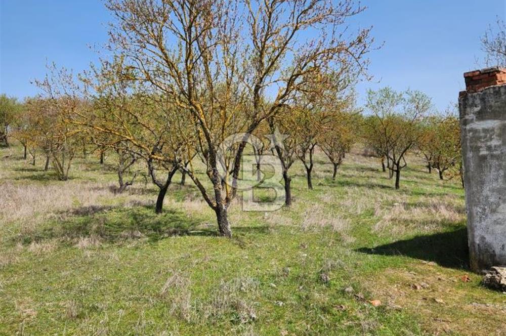 Balıkesir İli Karesi İlçesi Naipli Mahallesinde Satılık Arsa