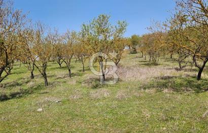 Balıkesir İli Karesi İlçesi Naipli Mahallesinde Satılık Arsa