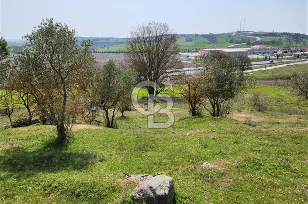 Balıkesir İli Karesi İlçesi Naipli Mahallesinde Satılık Arsa