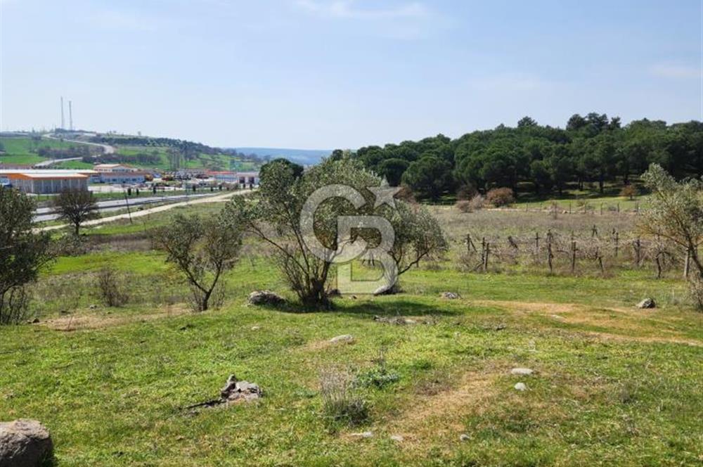 Balıkesir İli Karesi İlçesi Naipli Mahallesinde Satılık Arsa