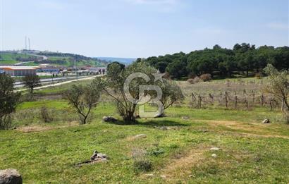 Balıkesir İli Karesi İlçesi Naipli Mahallesinde Satılık Arsa