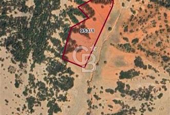 Serinhisar Cumhuriyet Bayram Suyu Mevk 10.213.00 m² Satılık ARSA - 1 - 314184