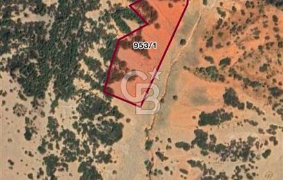 Serinhisar Cumhuriyet Bayram Suyu Mevk 10.213.00 m² Satılık ARSA